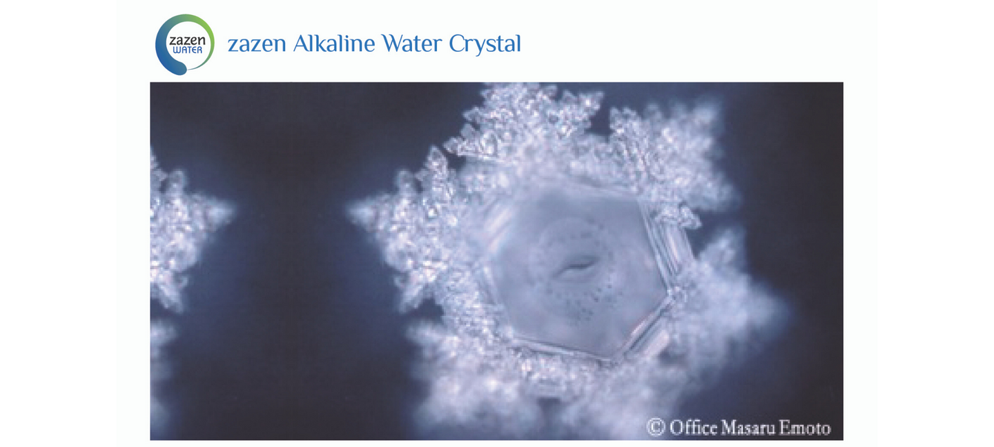Dr Emoto Tribute