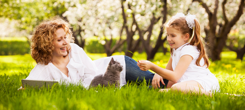 What Can Cause Allergies In The Summer?