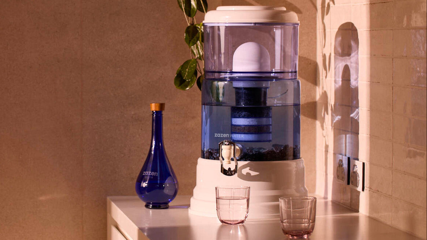 How Does An Alkaline Water Filter Work?