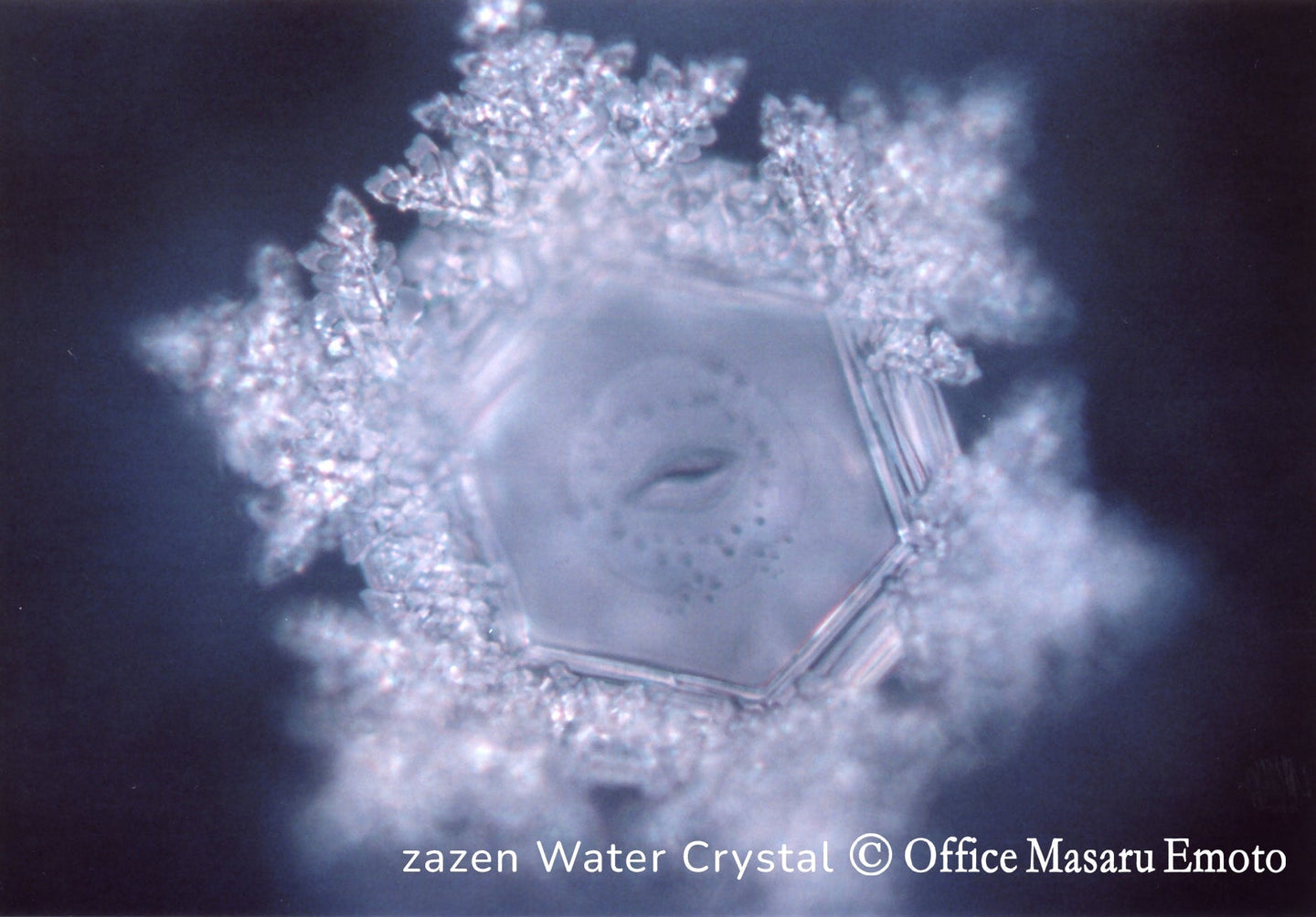 Structured Water: Definition, Research & Facts