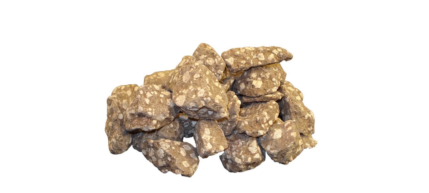 Silver's Anti-Bacterial Properties