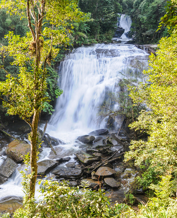 The Power of Negative Ions