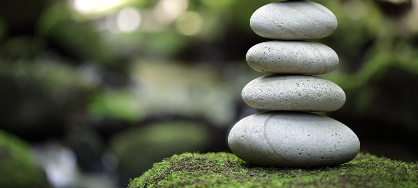 What Is The Ideal Body pH For Health & Wellness?