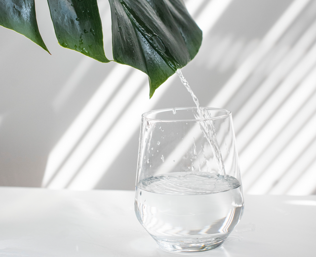 Glass of zazen Alkaline Water