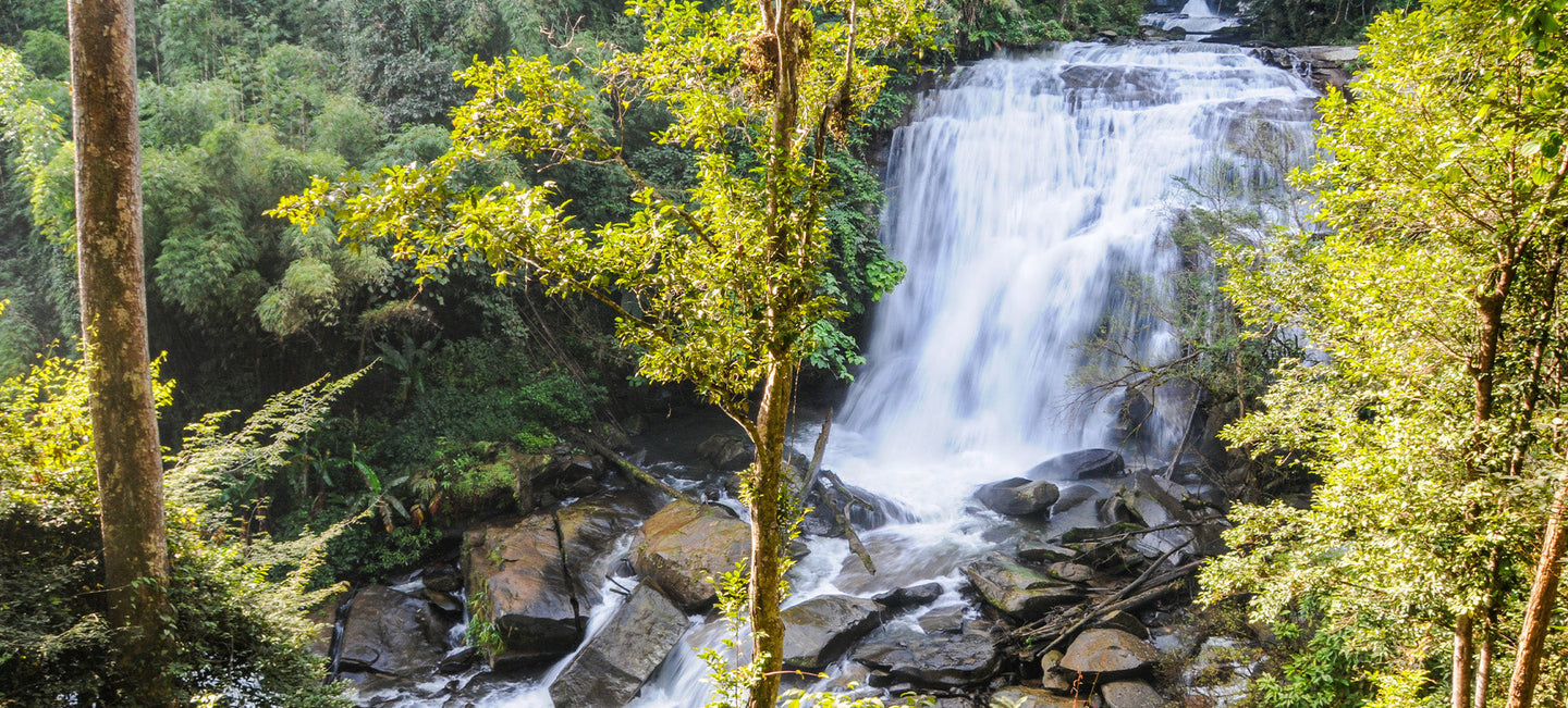 The Power of Negative Ions