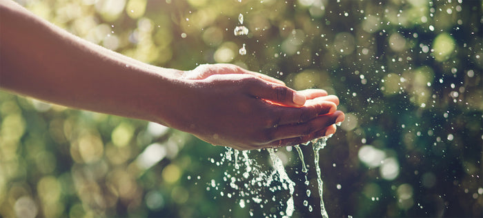 How to save water and reduce your carbon footprint
