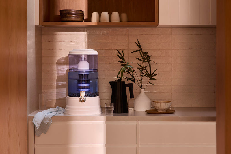 What Is A Water Ionizer And How Does It Compare To The zazen Alkaline Water System?
