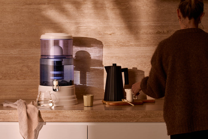 zazen Water Filter Reviews