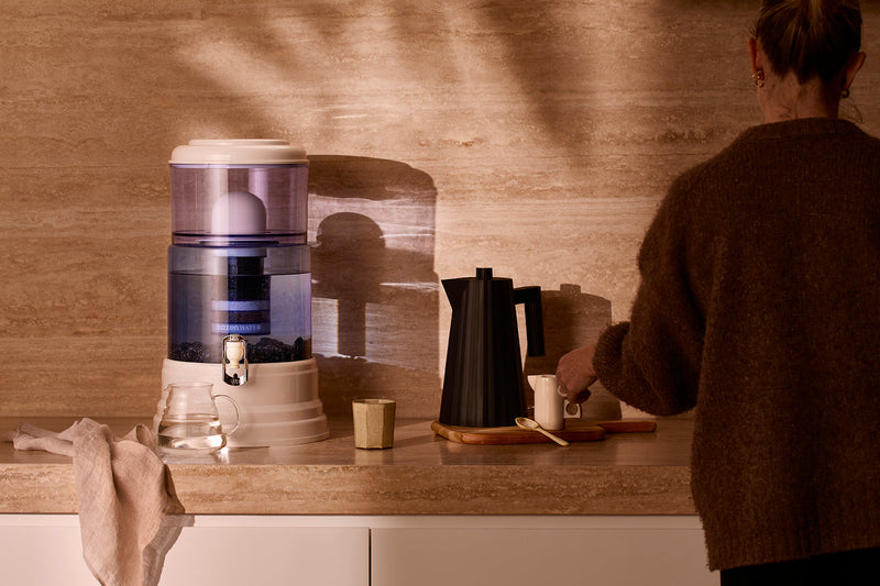zazen Water Filter Reviews