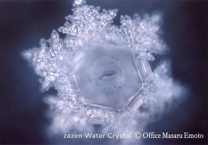 H302 Living Water (Exclusion Zone Water)