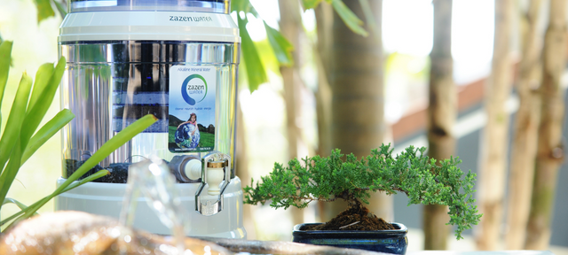 How Does An Alkaline Water Filter Work?