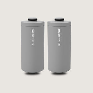 Shower Filter Replacements