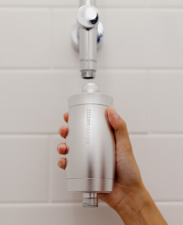 Shower Filter