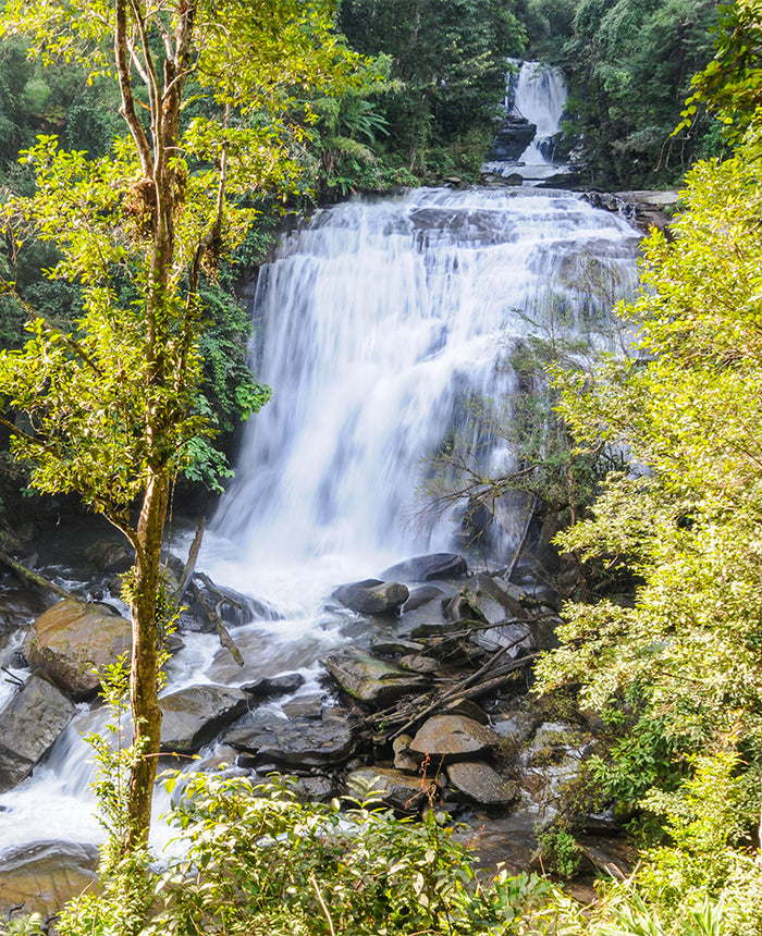 The Power of Negative Ions