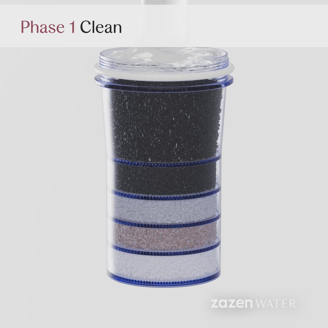 zazen Annual Refresh Pack