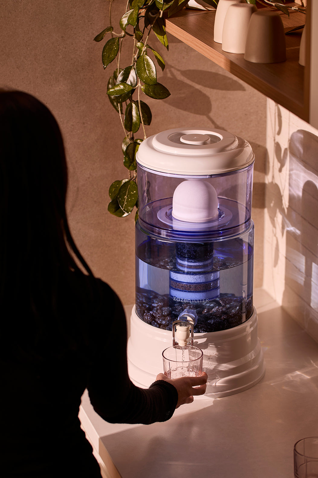 Zazen Alkaline Water Filter System