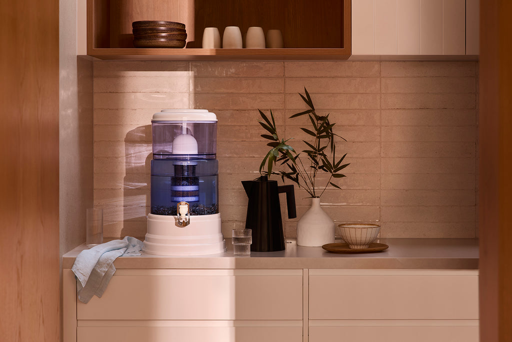 zazen Alkaline Water System with Glass Bottom Tank