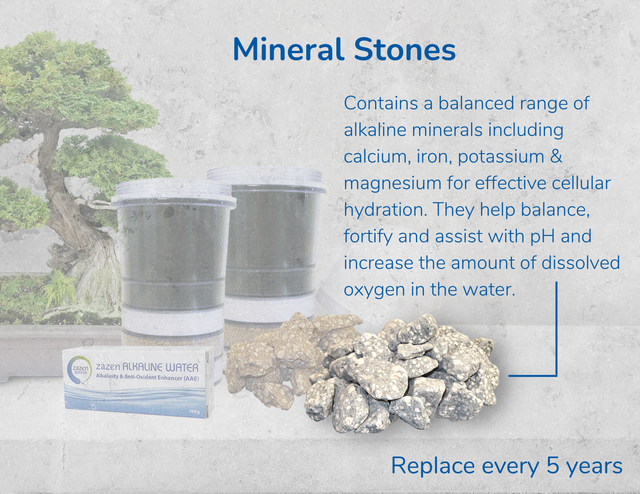 zazen Annual Replacement Pack + Mineral Stones